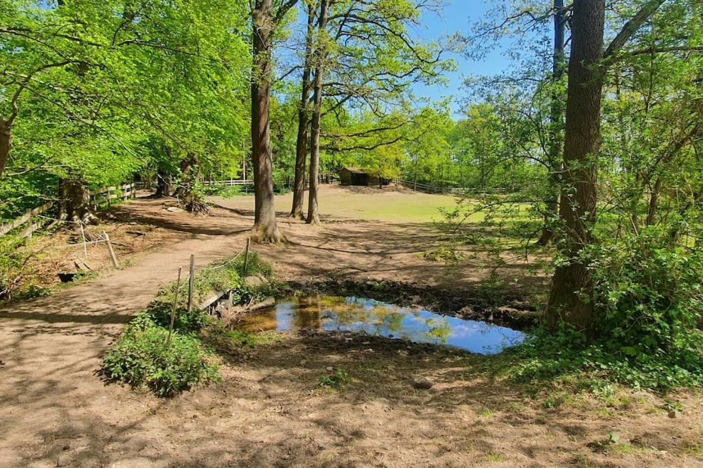 Pferdeparadies Untergruenhagen Бад-Фаллингбостель Экстерьер фото